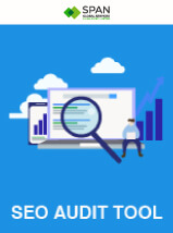 SEO Audit Tool