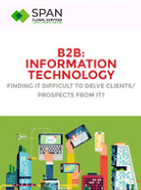 B2B Information Technology