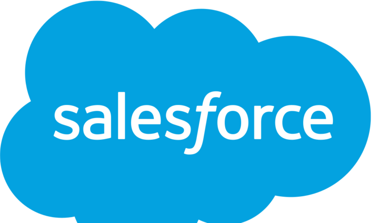 SALESFORCE users