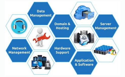 Information Technology & Services