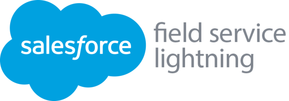 SALESFORCE FIELD SERVICE LIGHTNING users