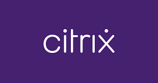 CITRIX users