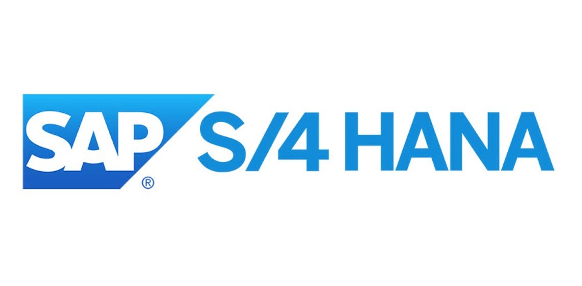 SAP S/4HANA users