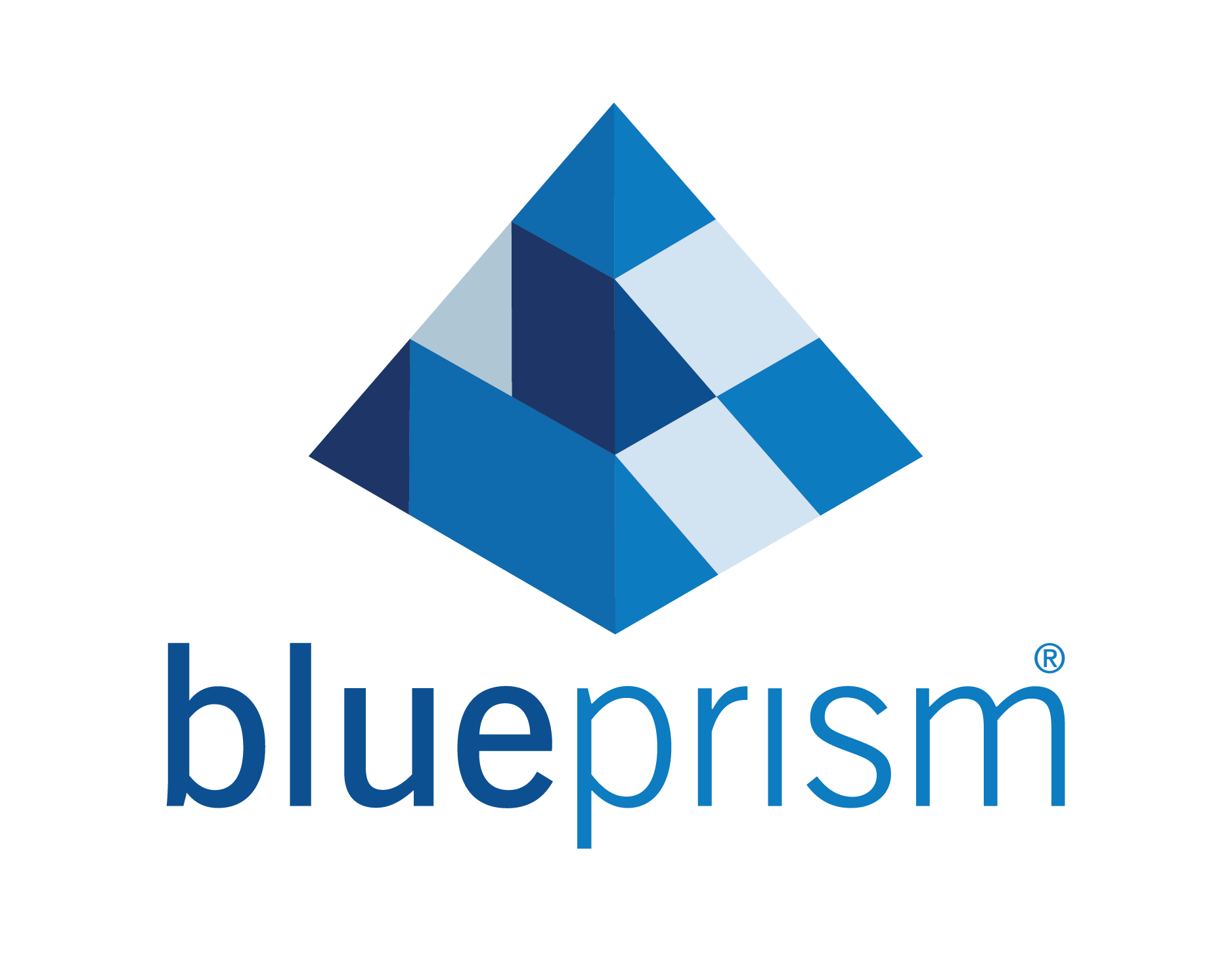 BLUE PRISM users